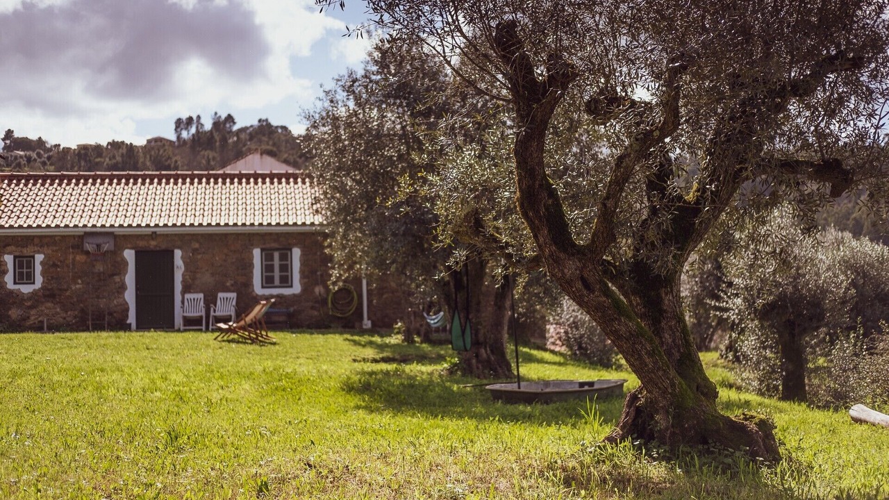Photo of Outdoor in Tomar