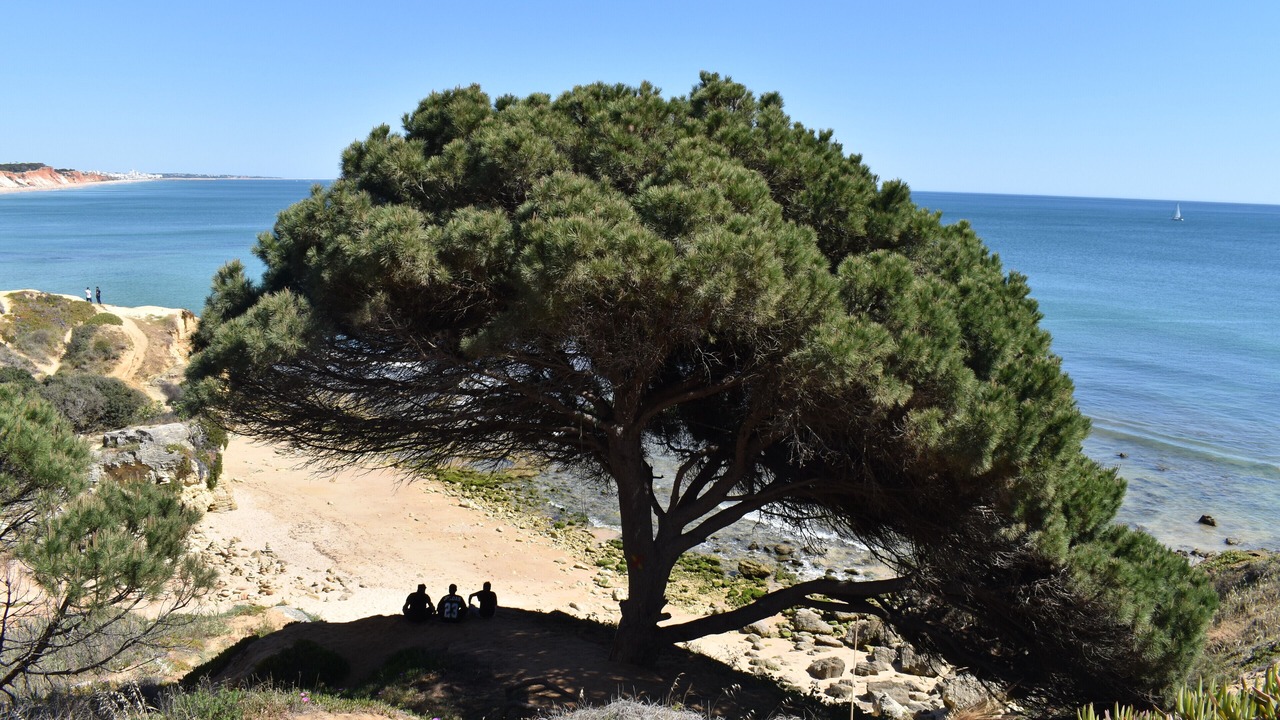 Photo of Others in Olhos D'Agua