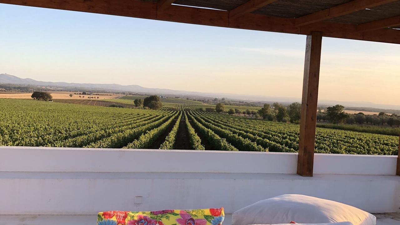 Photo of Outdoor in Estremoz