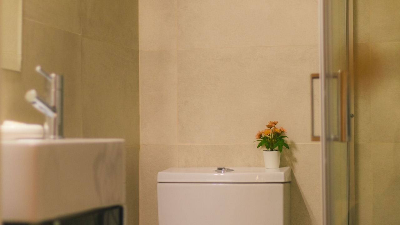Photo of Bathroom in Alijo
