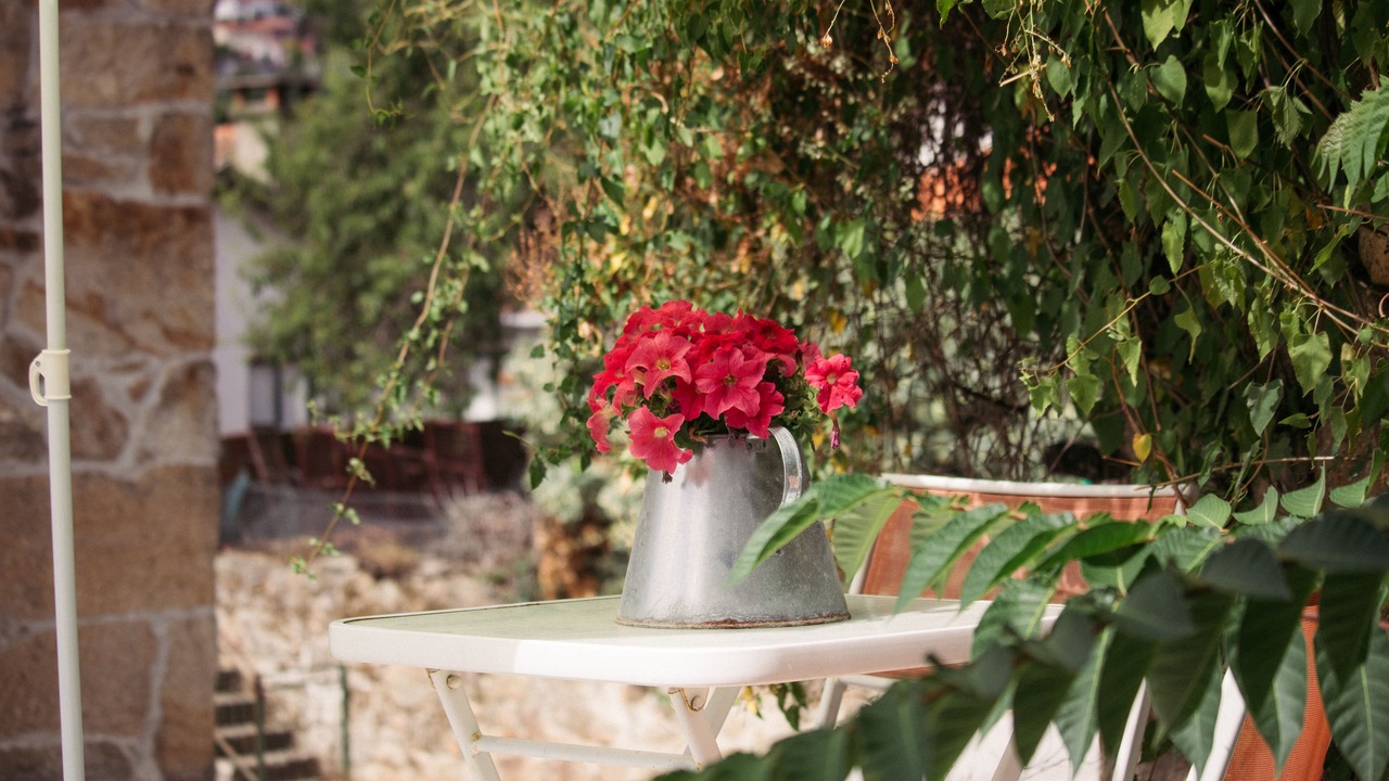 Photo of Patio Balcony in Alijo