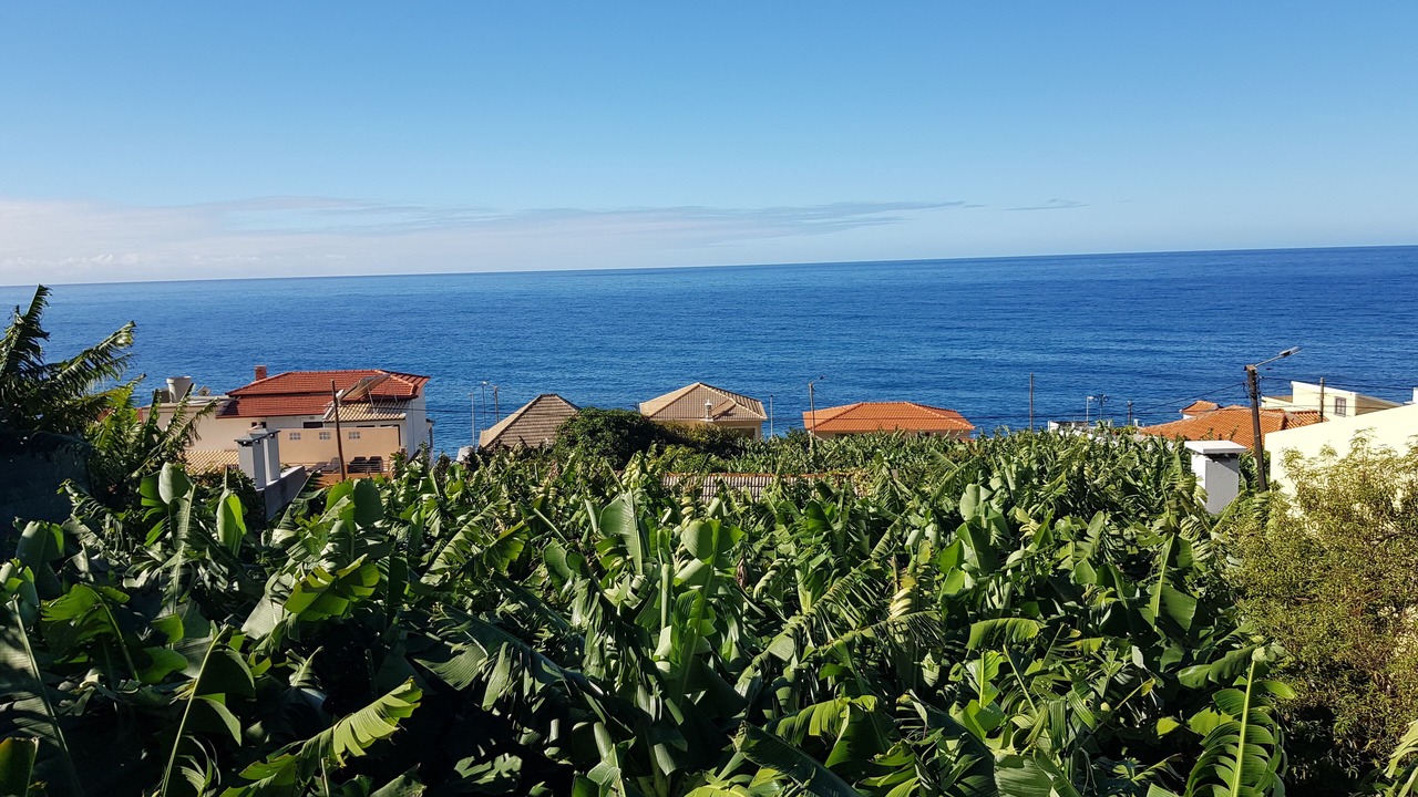 Photo of Patio Balcony in Paul do Mar