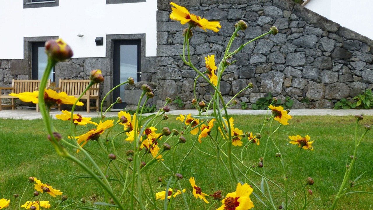 Photo of Outdoor in Prainha