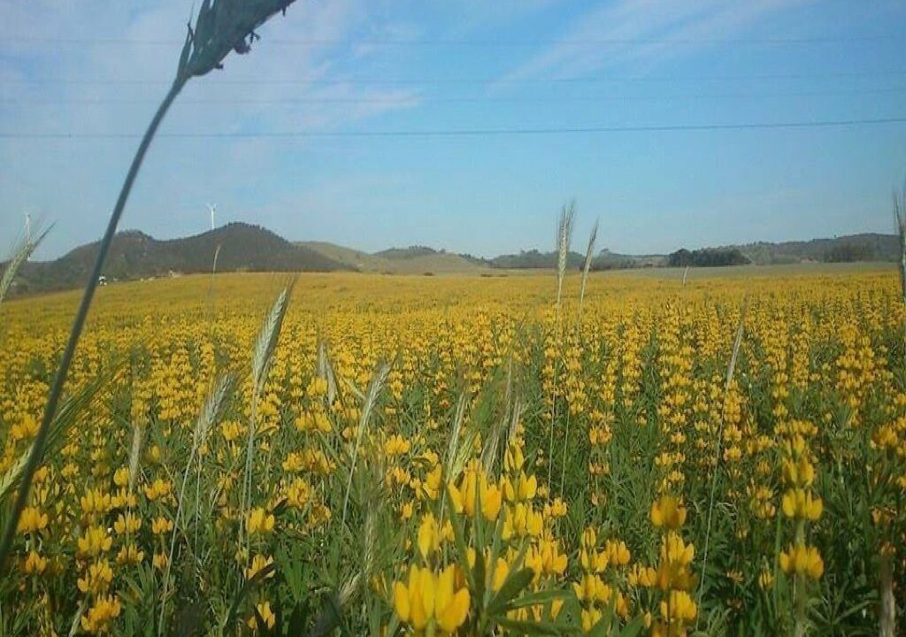 Photo of Outdoor in Porto Covo