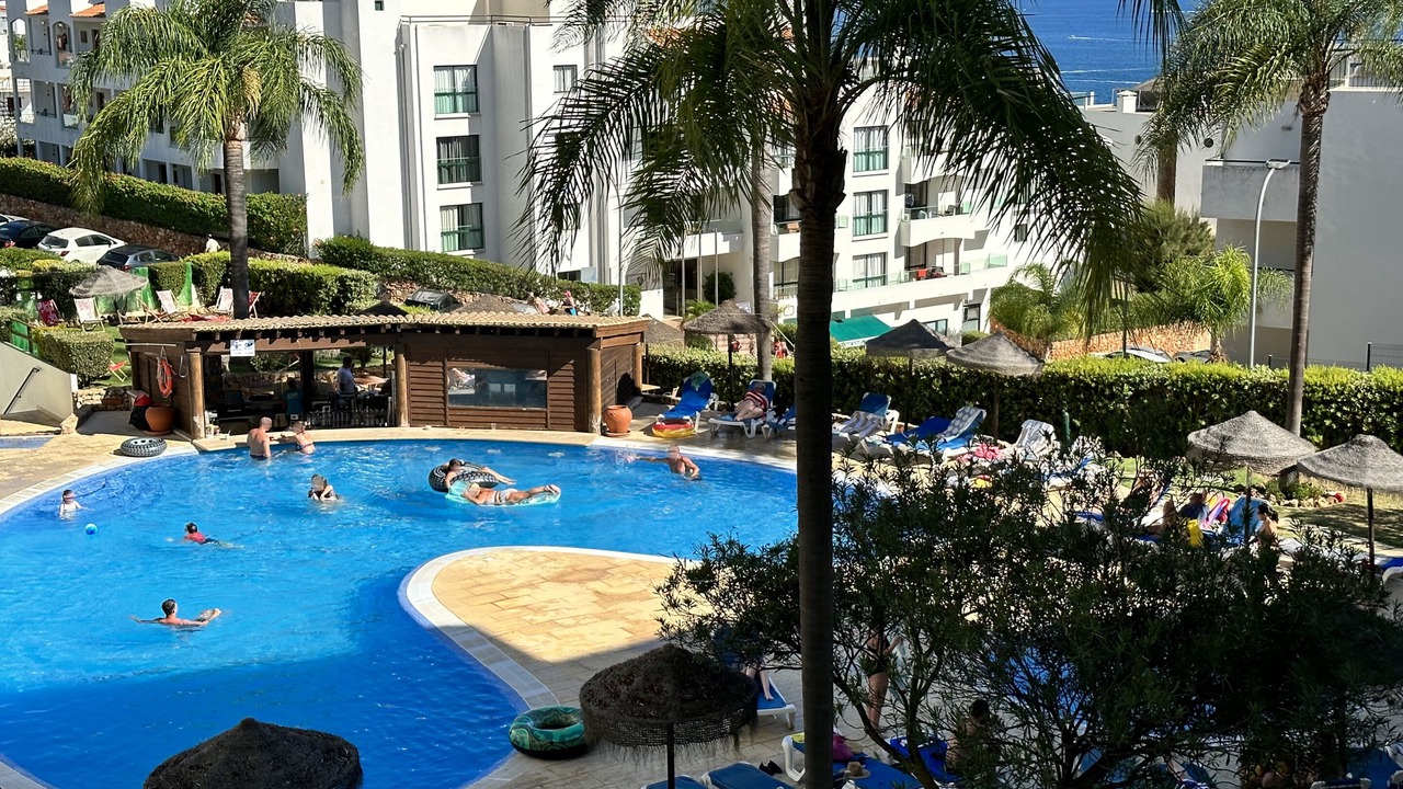 Photo of Outdoor in Calicos