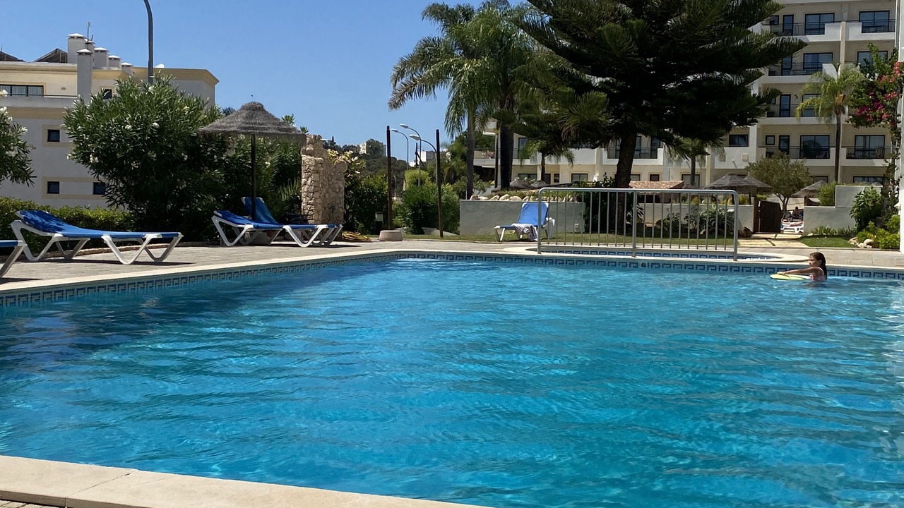 Photo of Outdoor in Calicos