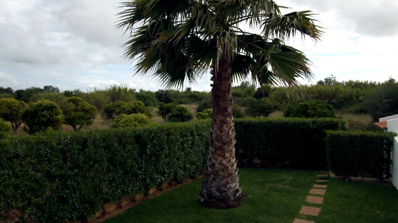 Photo of Outdoor in Boliqueime
