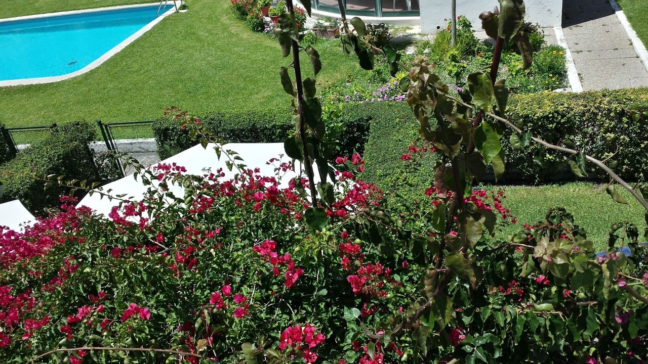 Photo of Outdoor in Carvalhal