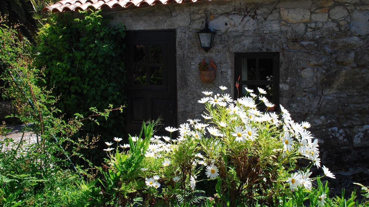 Photo of Outdoor in Afife