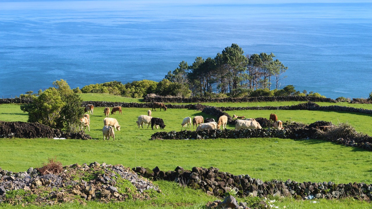Photo of Others in Prainha