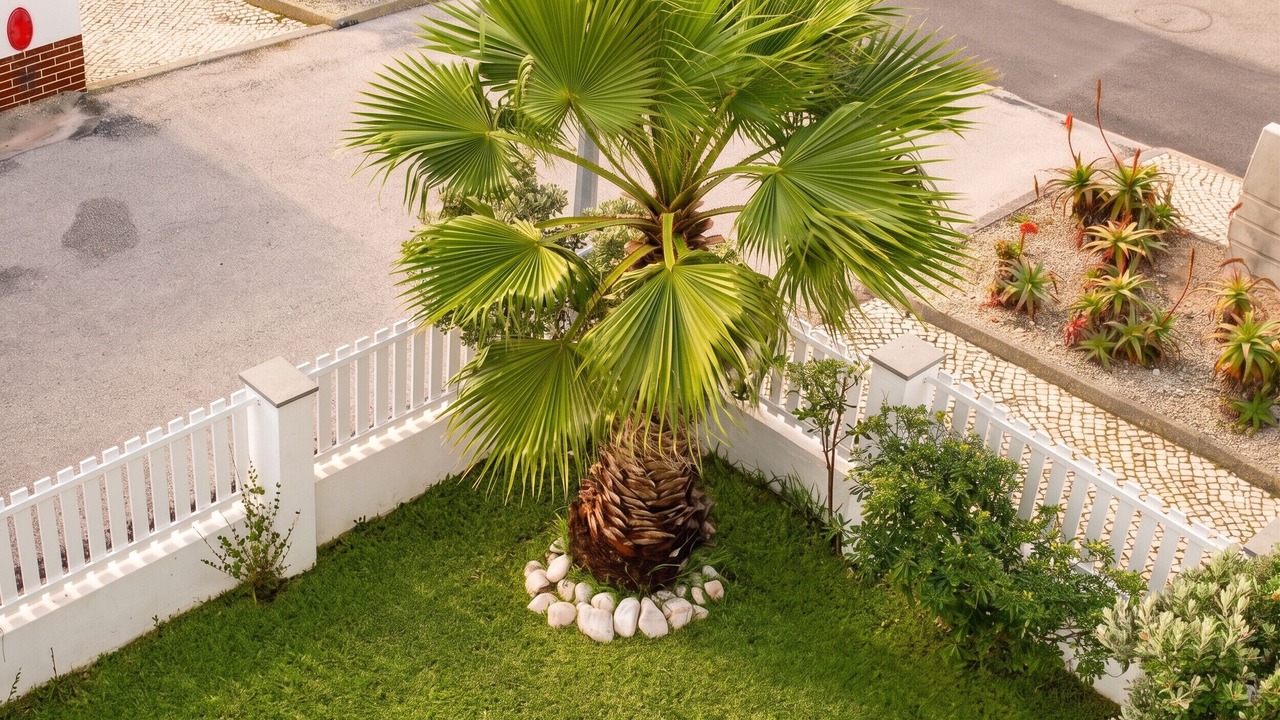 Photo of Outdoor in Praia de Santa Cruz