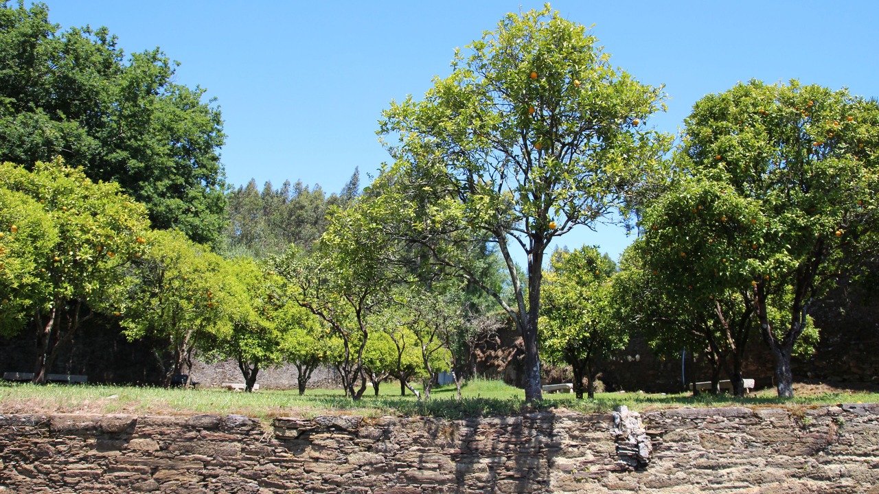 Photo of Others in Esposade