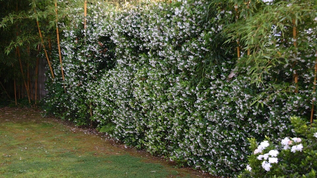 Photo of Outdoor in Campos