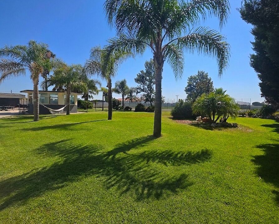Photo of Outdoor in Palmela