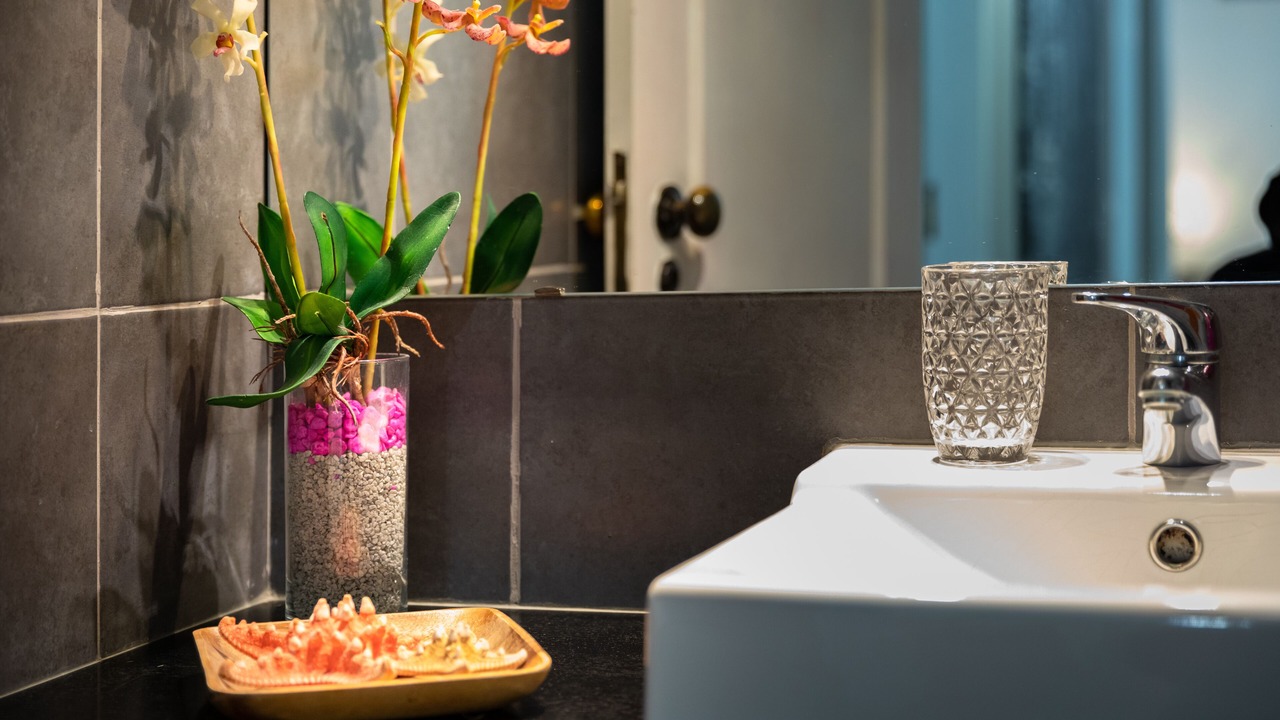Photo of Bathroom in Faro