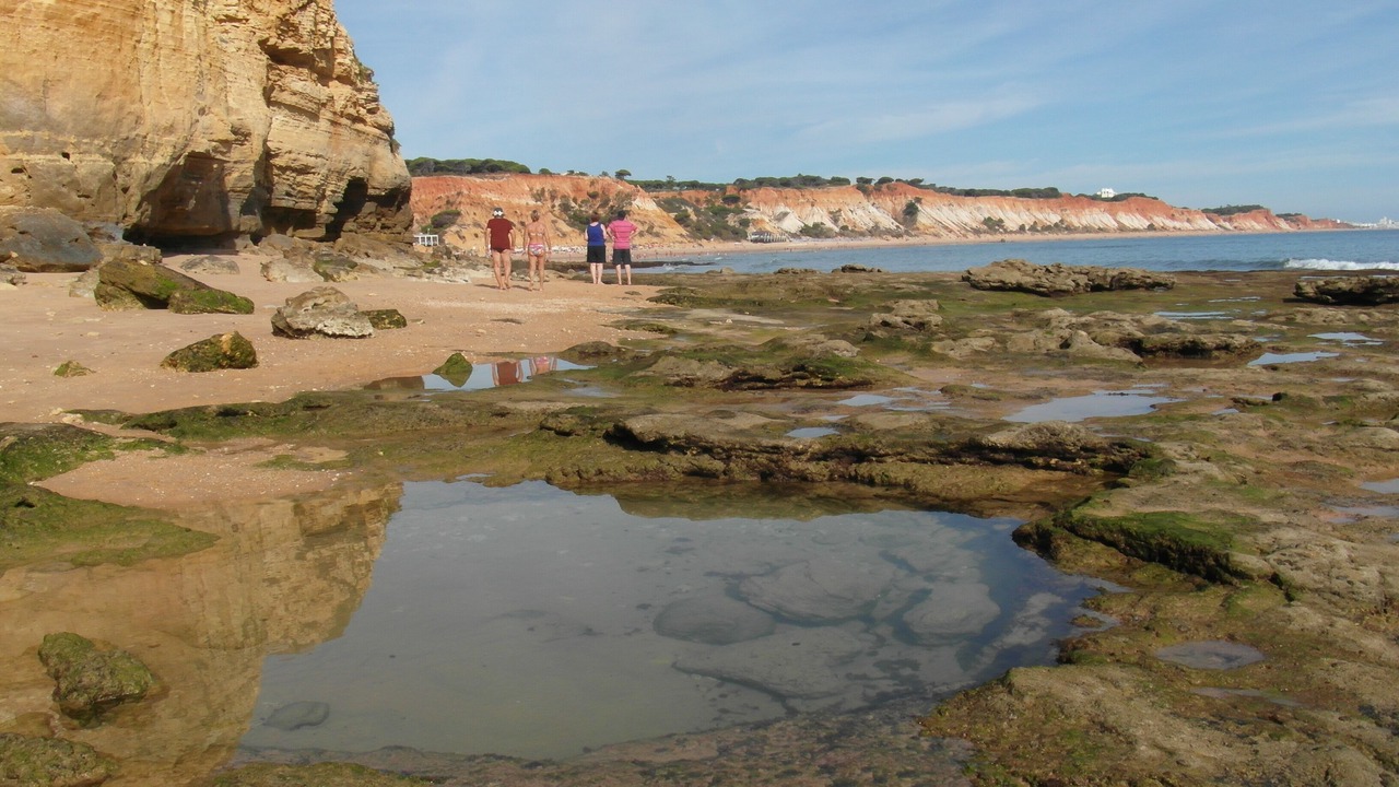 Photo of Others in Olhos D'Agua