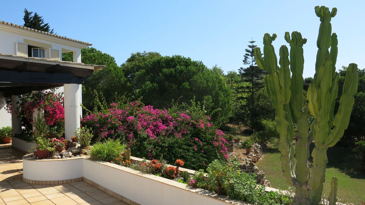 Photo of Outdoor in Funchal