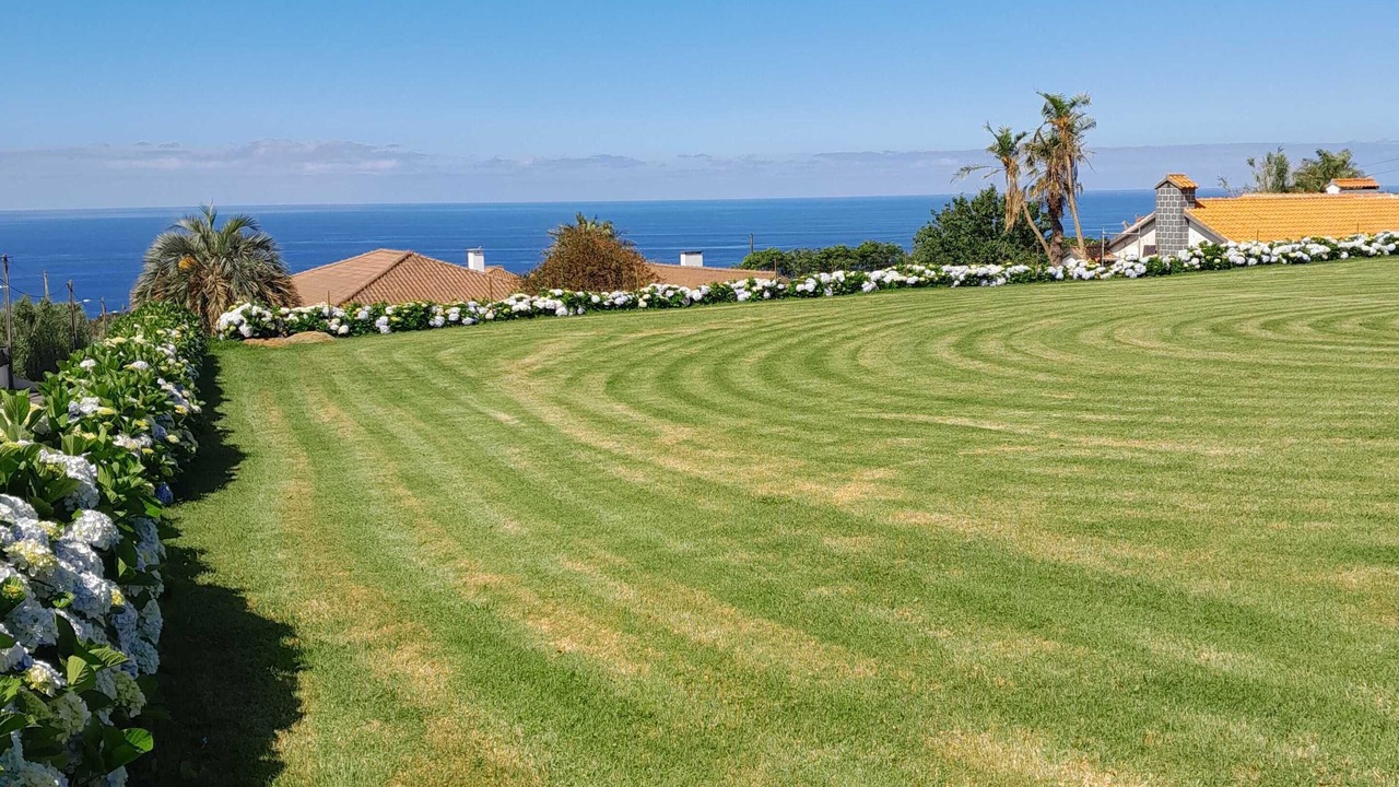 Photo of Outdoor in Ponta Delgada