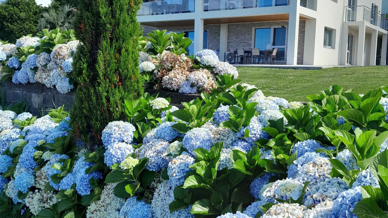 Photo of Outdoor in Ponta Delgada