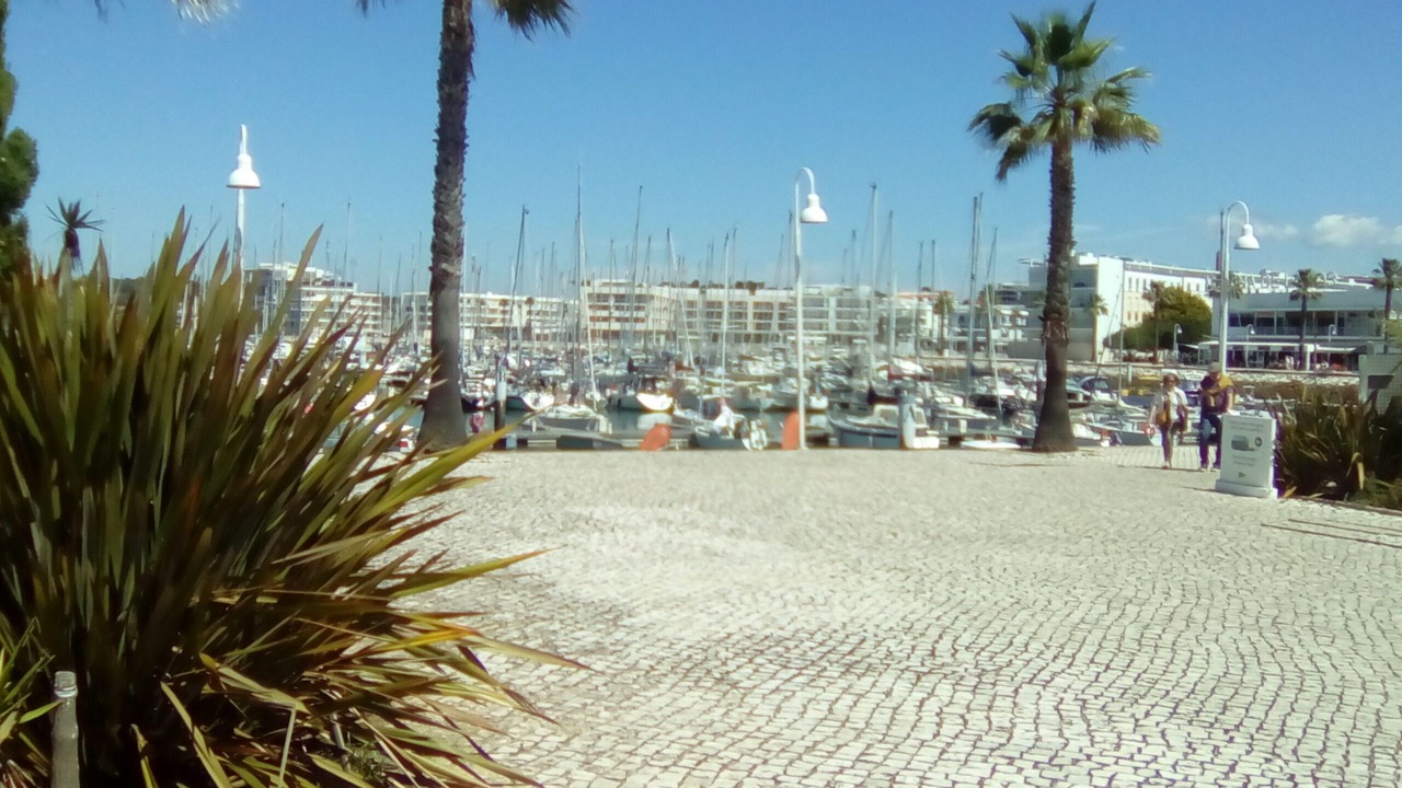 Photo of Others in Meia Praia