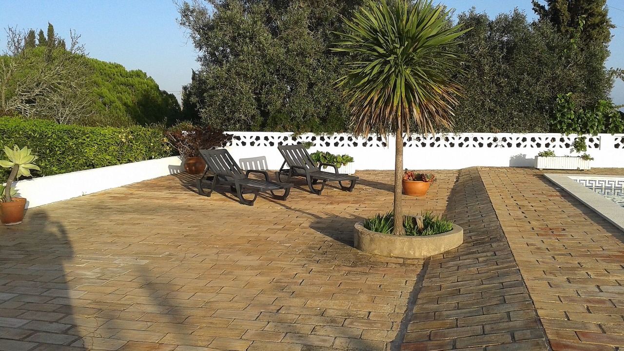 Photo of Outdoor in Funchal