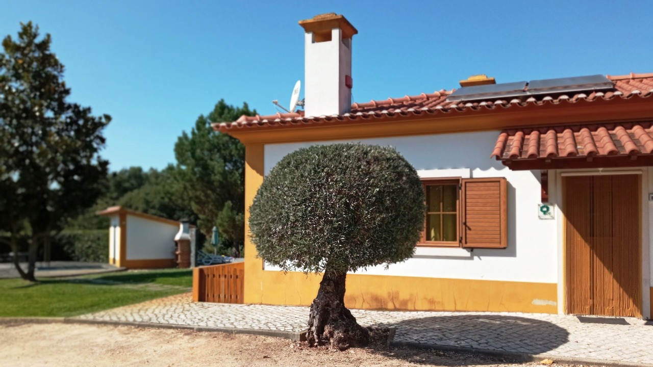 Photo of Outdoor in Nossa Senhora do Pranto