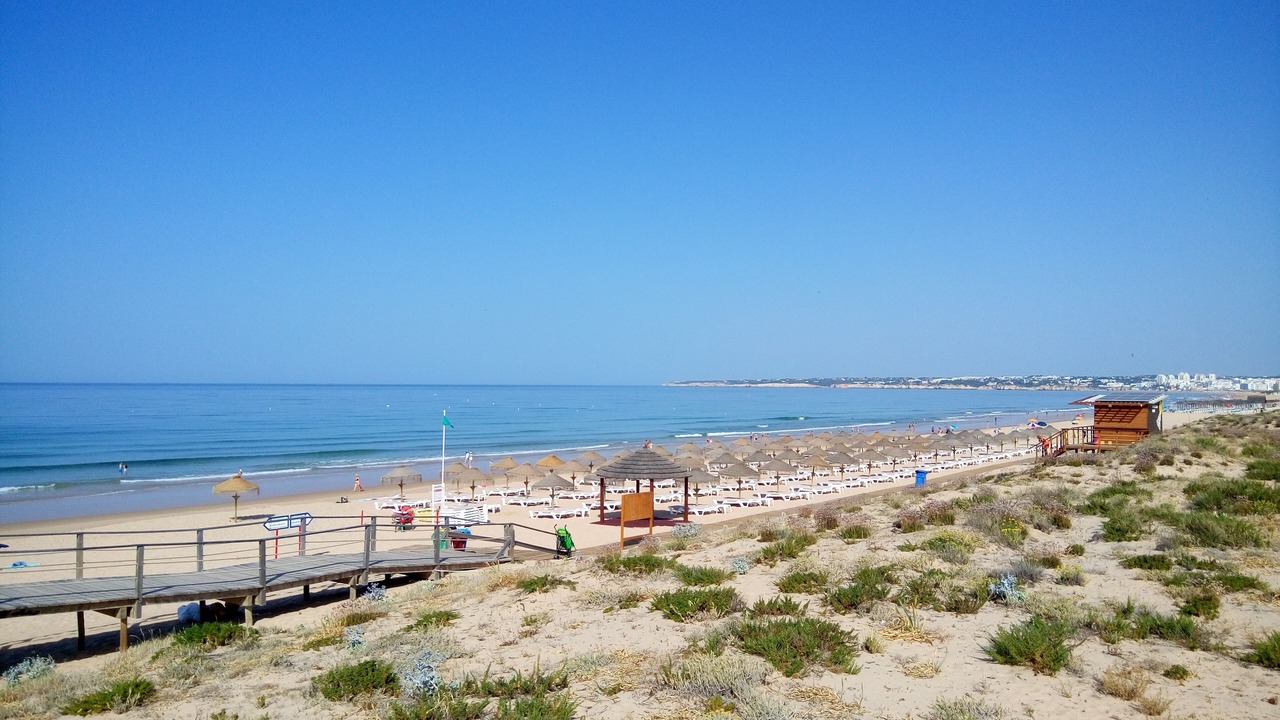 Photo of Others in Salgados