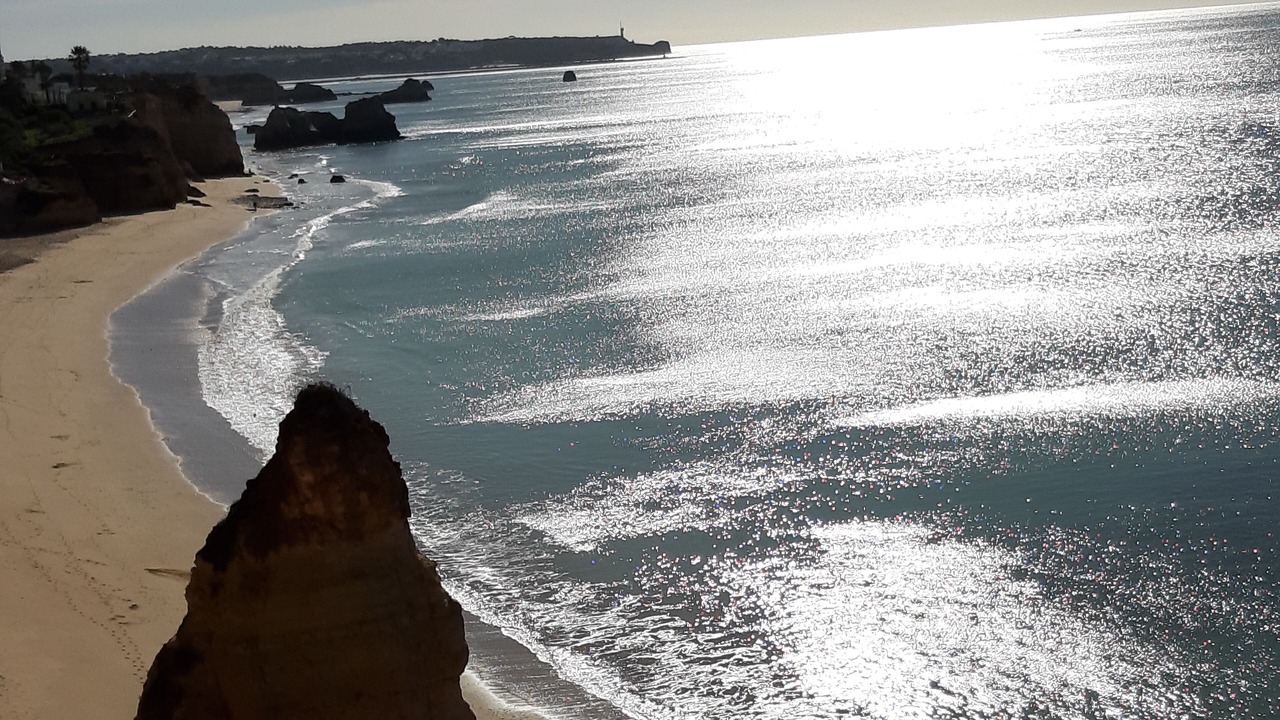 Photo of Others in Portimao