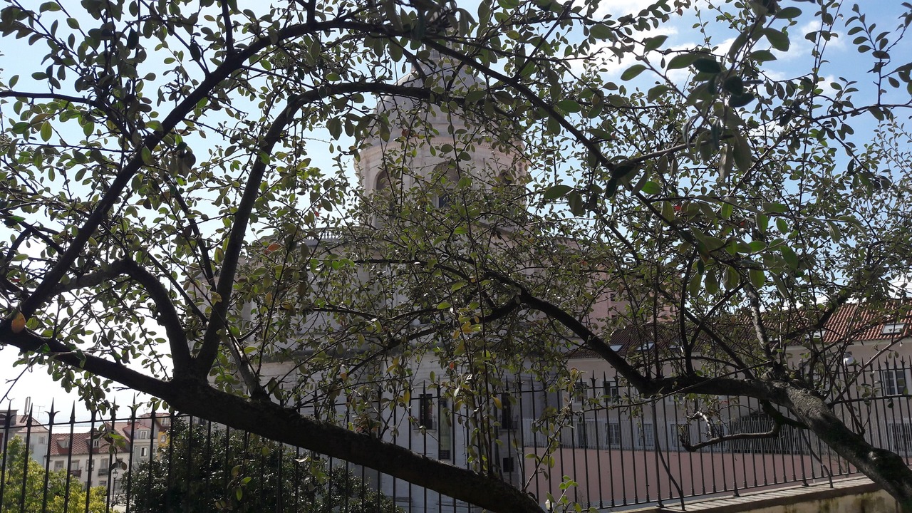 Photo of Outdoor in Alfama