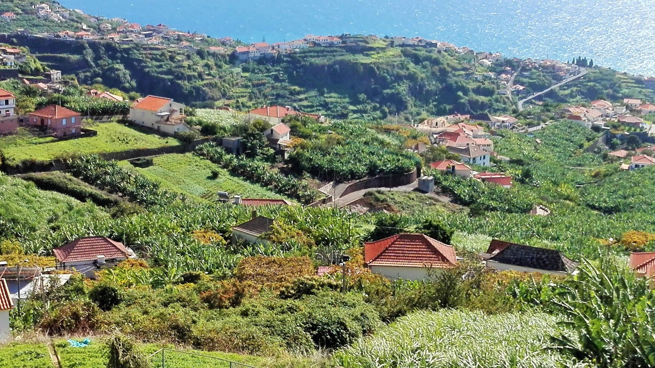 Photo of Outdoor in Canhas