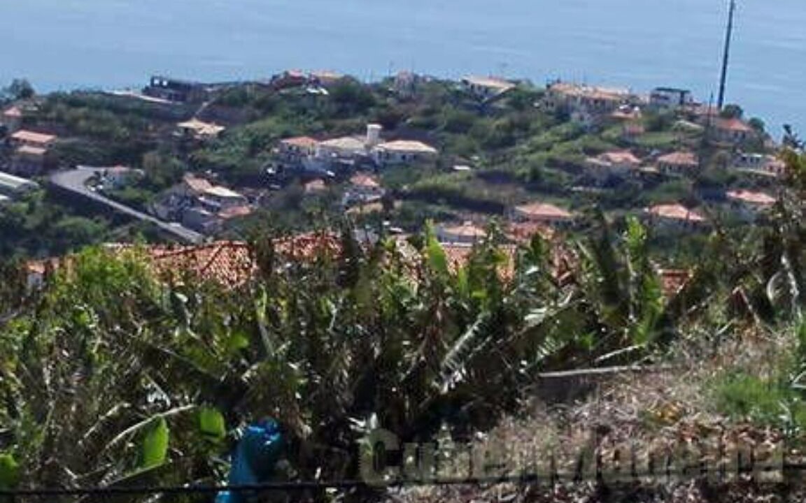 Photo of Outdoor in Canhas