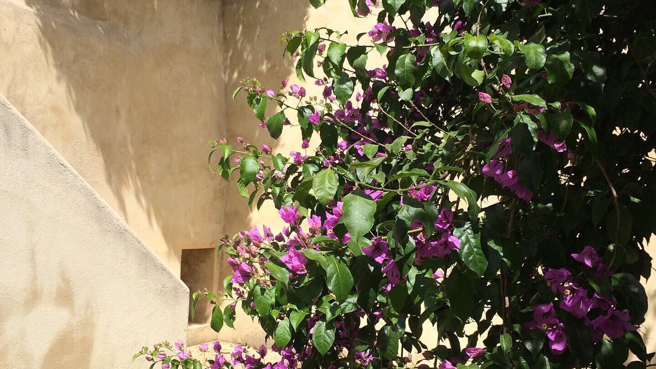 Photo of Outdoor in Coimbra City Centre
