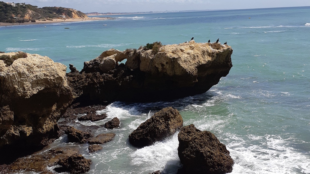 Photo of Others in Areias de Sao Joao