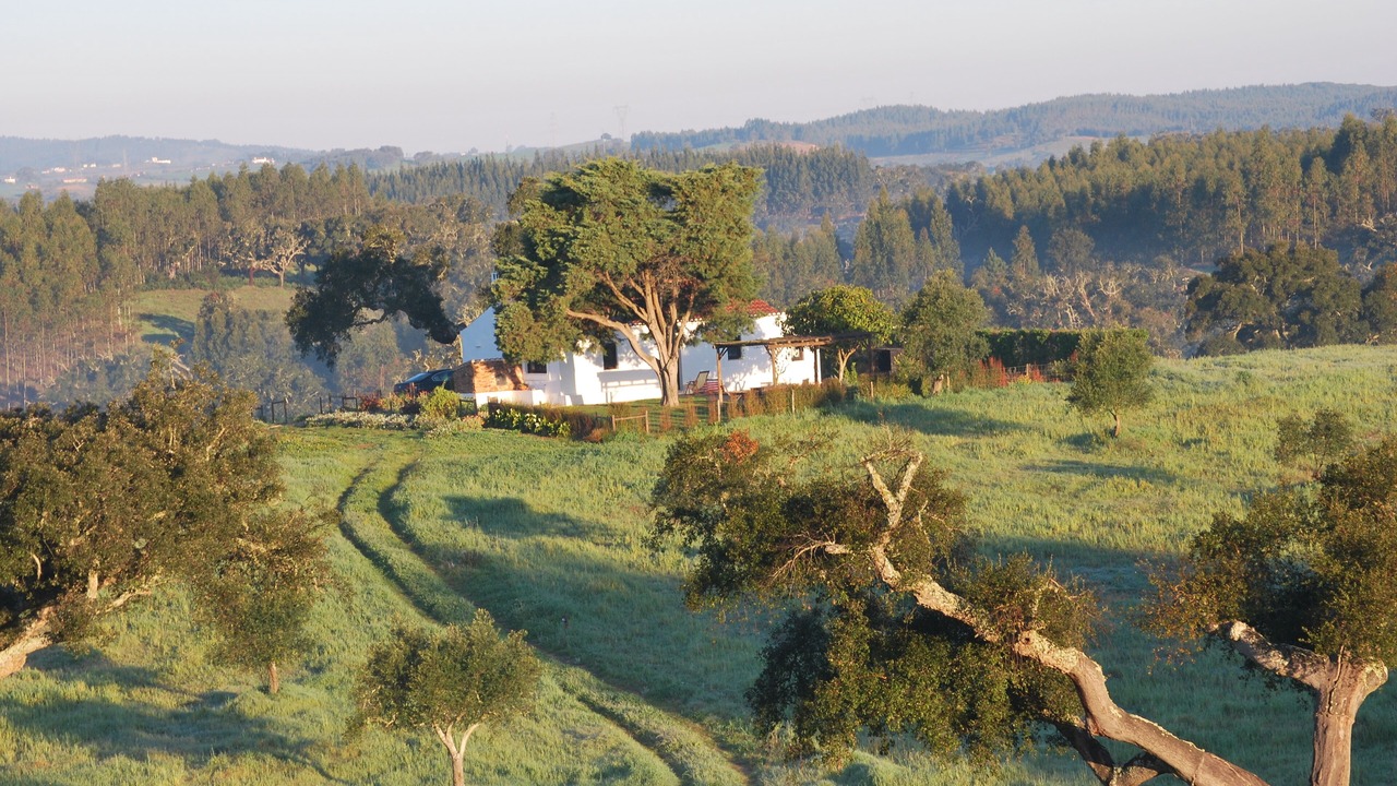 Photo of Outdoor in Sao Luis