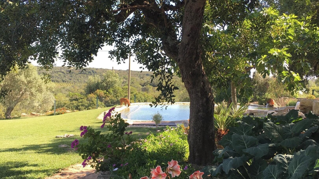 Photo of Outdoor in Fonte do Bispo
