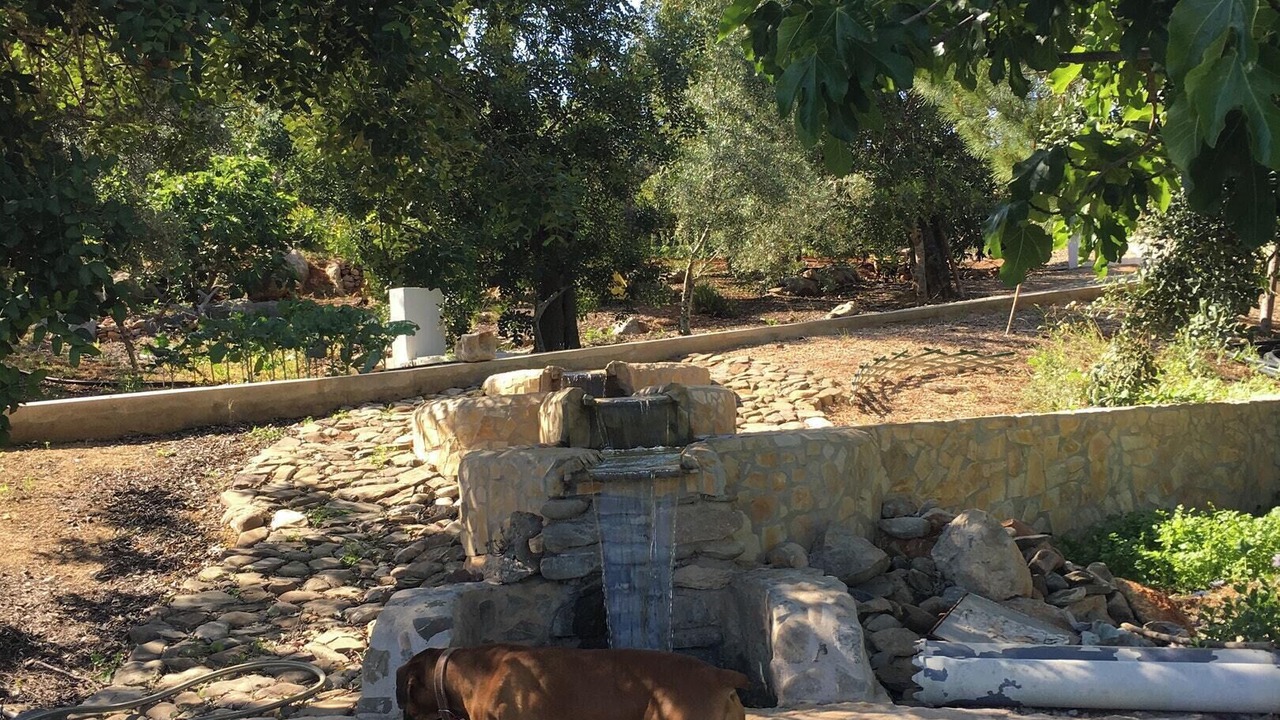 Photo of Outdoor in Fonte do Bispo