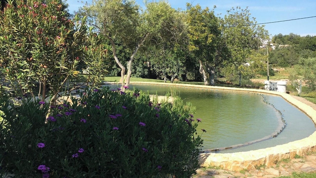 Photo of Outdoor in Fonte do Bispo