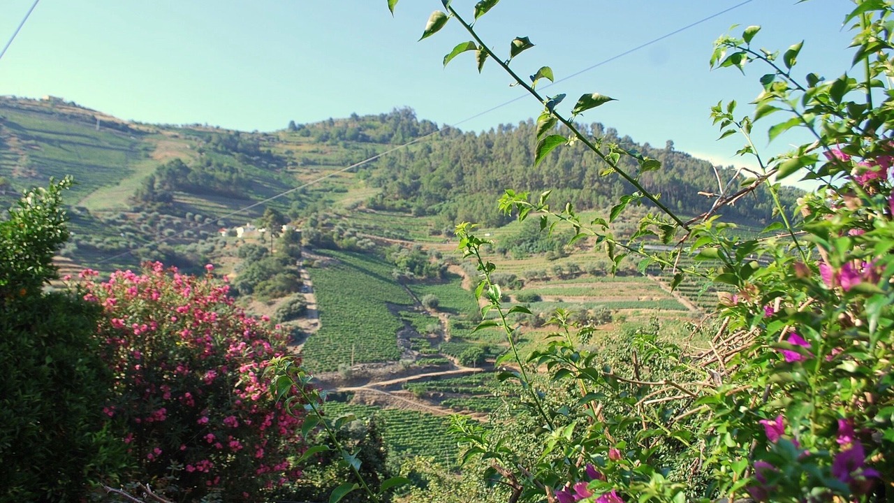 Photo of Outdoor in Bomfim