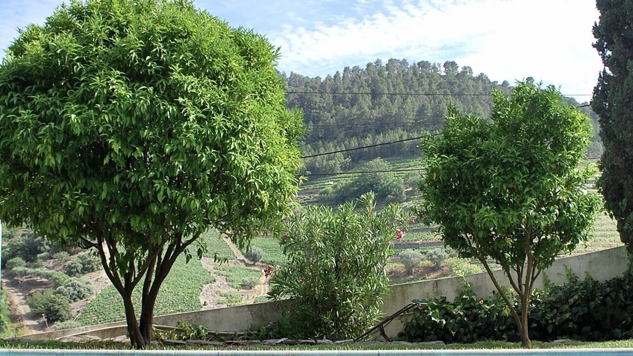 Photo of Outdoor in Bomfim