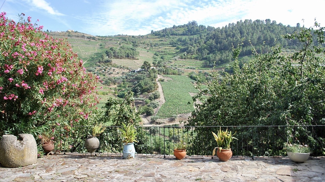 Photo of Outdoor in Bomfim
