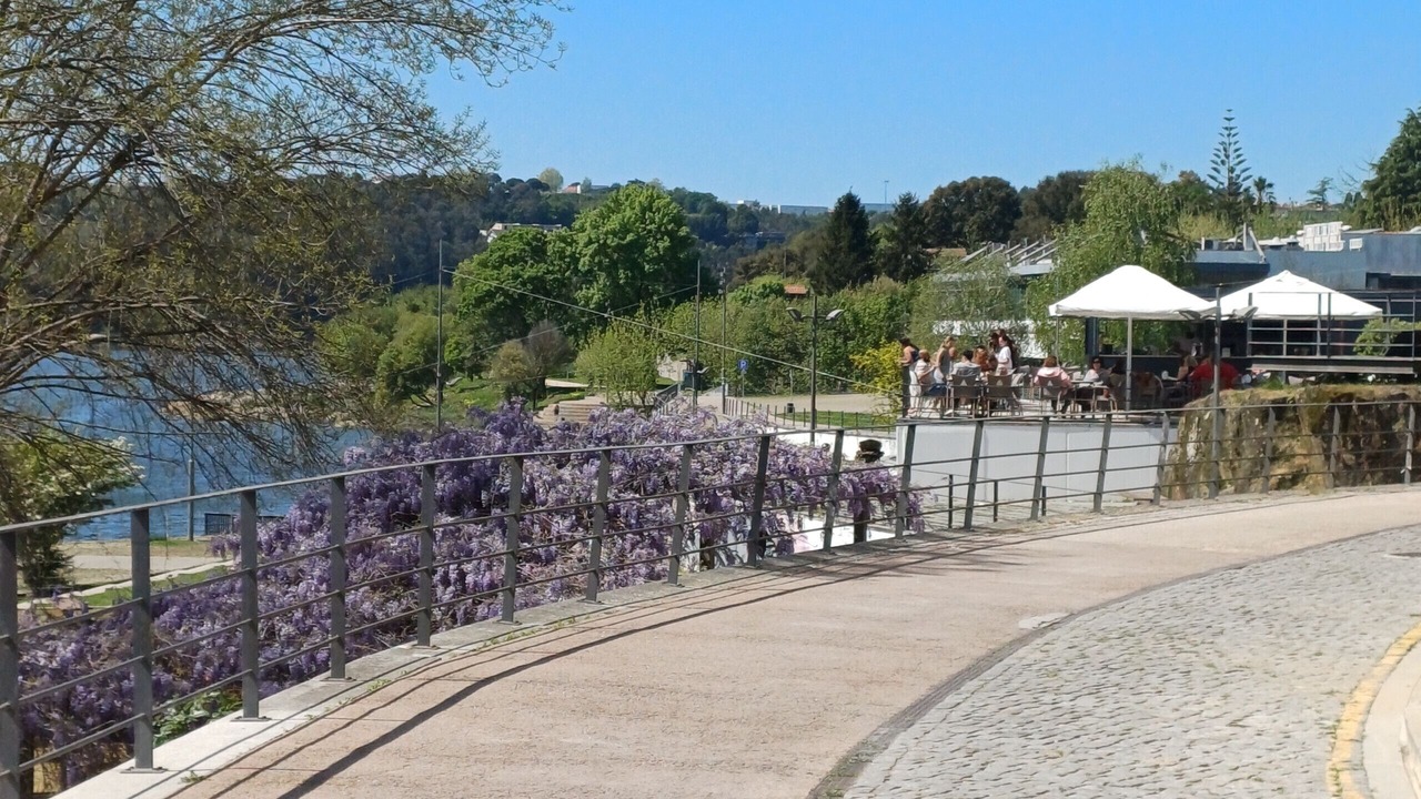 Photo of Others in Porto