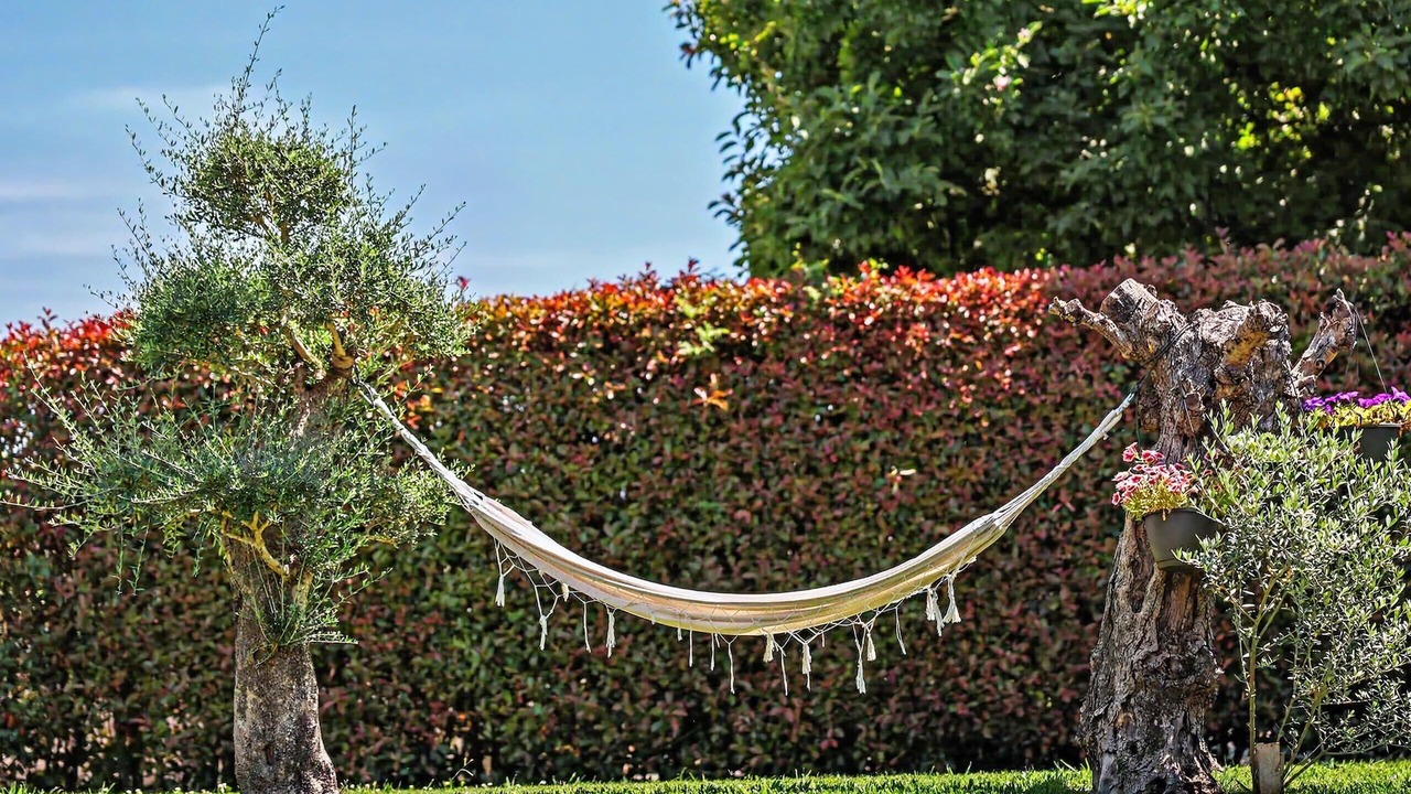 Photo of Outdoor in Vila Verde