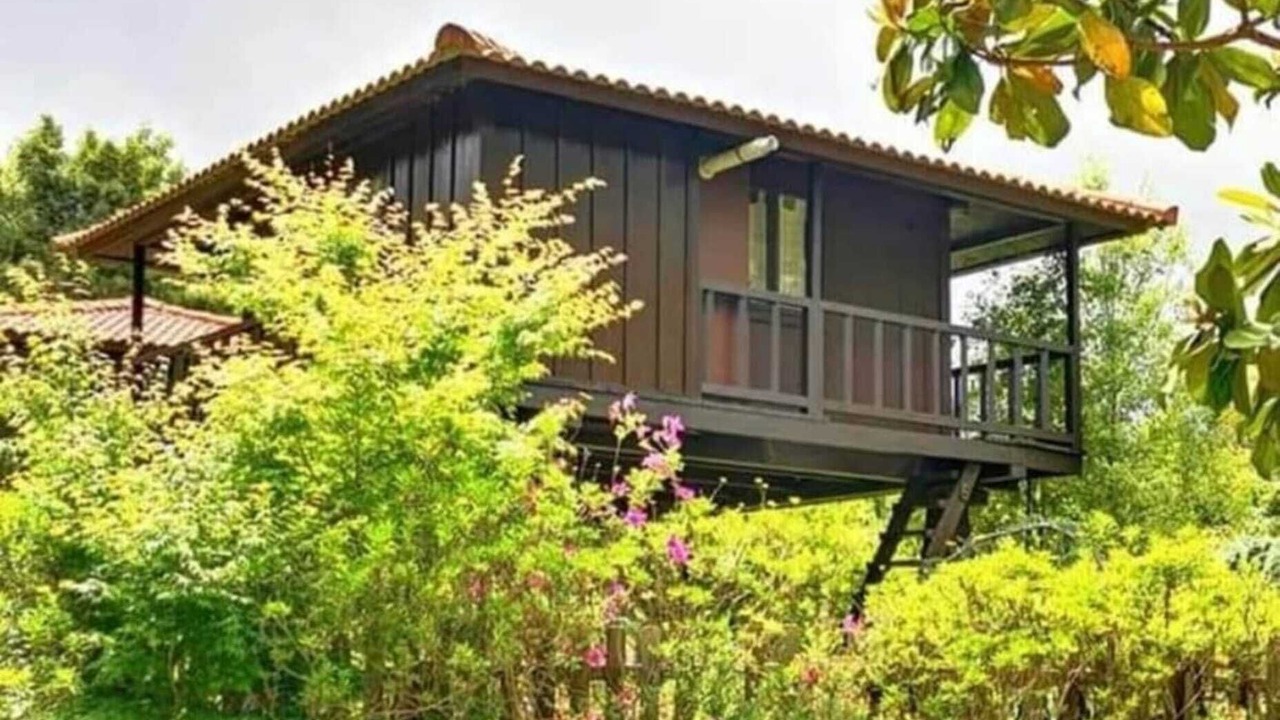 Photo of Outdoor in Santo da Serra