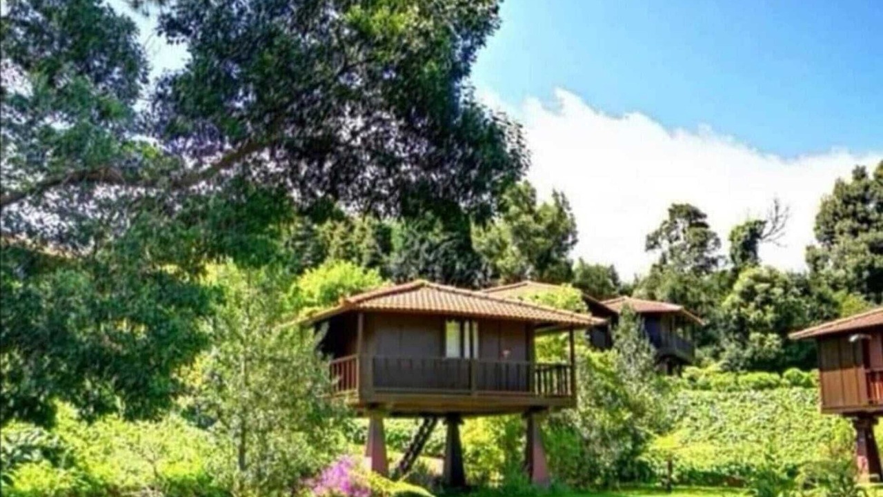 Photo of Outdoor in Santo da Serra
