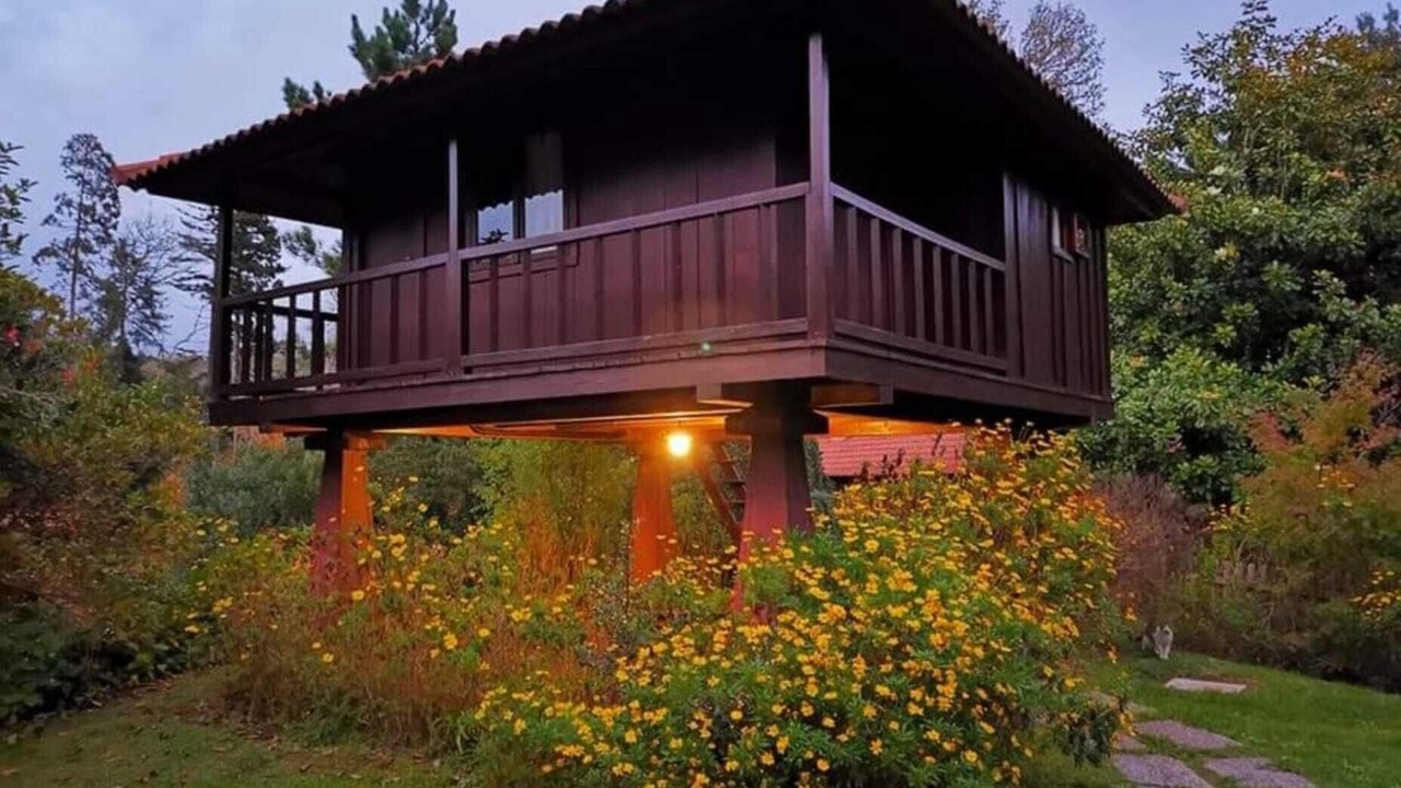 Photo of Outdoor in Santa Cruz