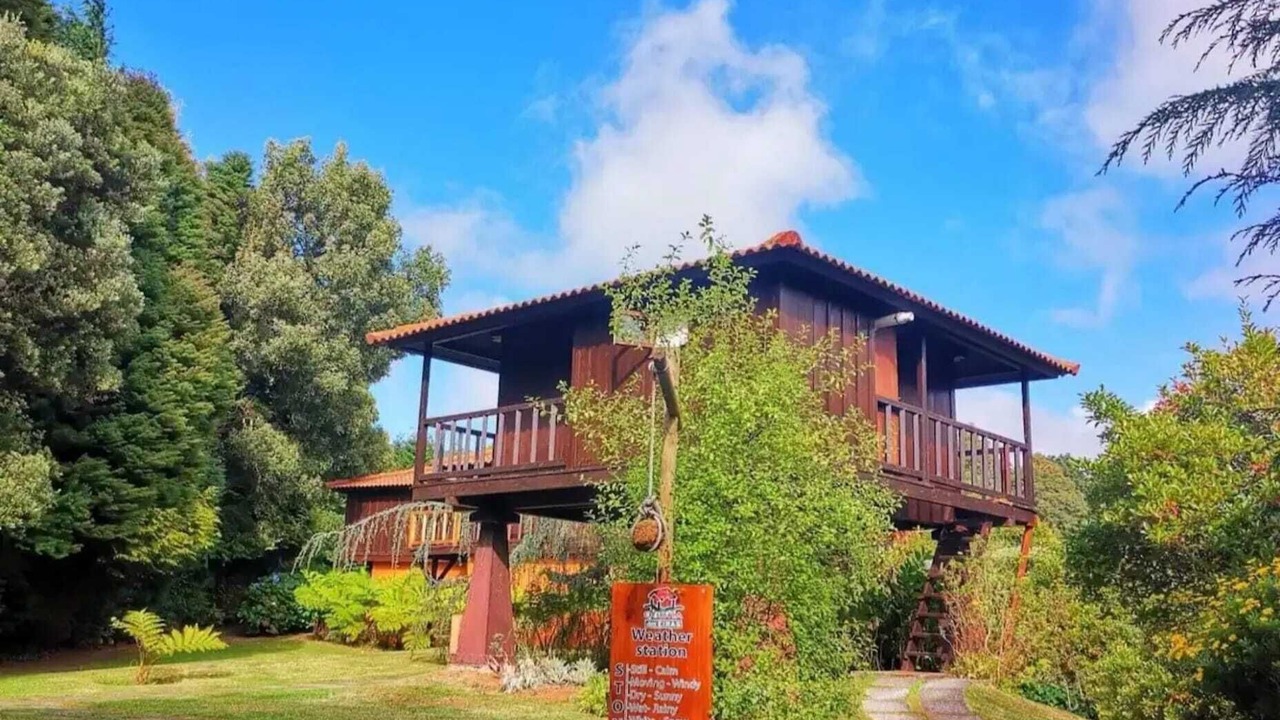 Photo of Outdoor in Santa Cruz