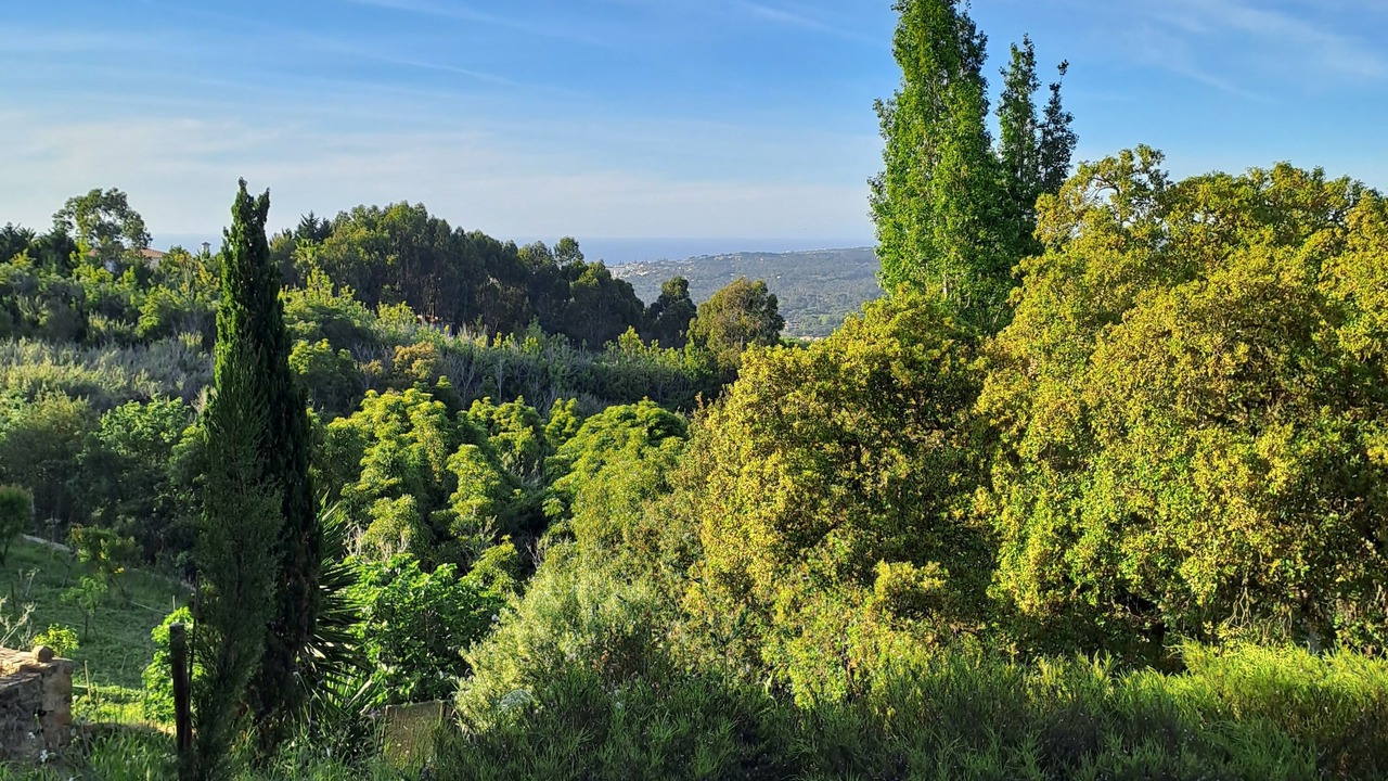 Photo of Others in Monserrate