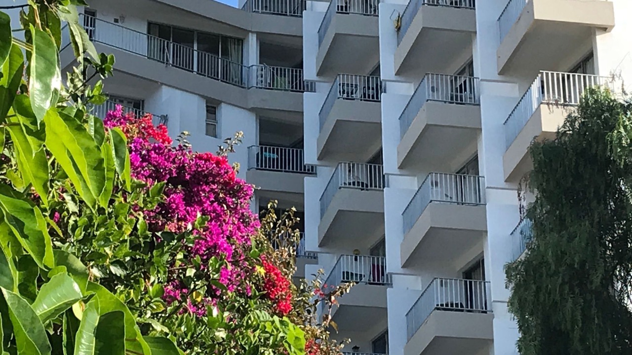 Photo of Outdoor in Sao Martinho