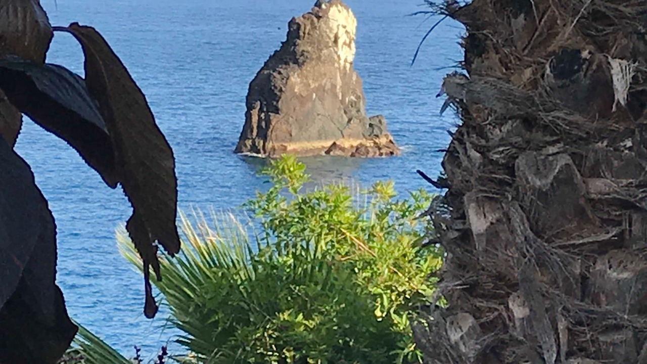 Photo of Others in Sao Martinho