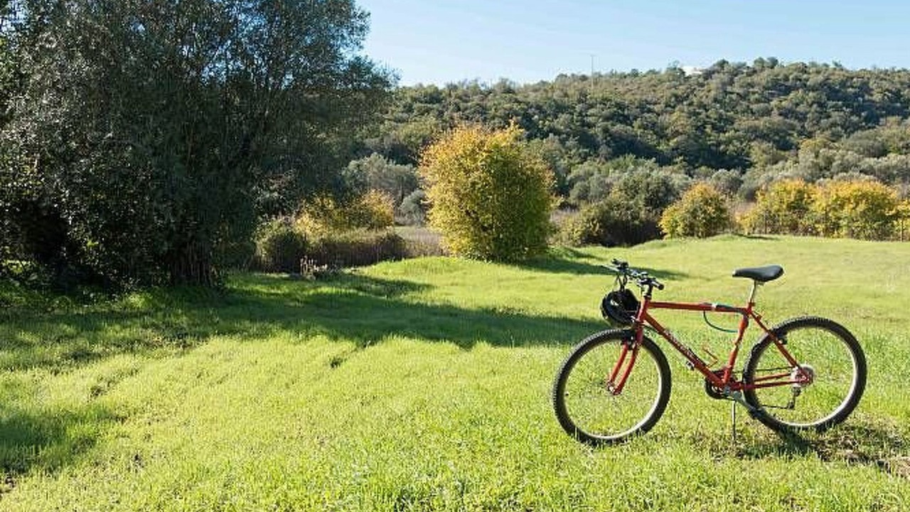 Photo of Outdoor in Amendoeira
